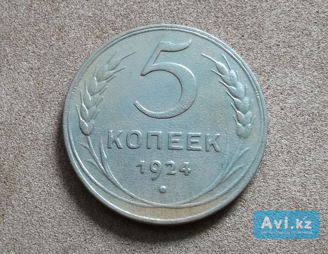 5 копеек 1924 Петропавловск - изображение 1