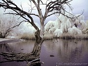 Инфракрасный светофильтр регулируемый доставка из г.Алматы