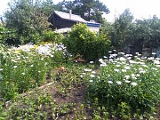 Продам дачу 60 м<sup>2</sup> с участком 8 соток Рудный