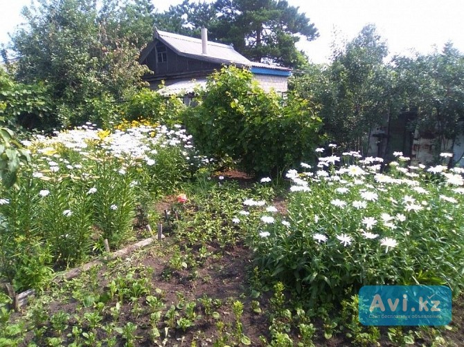 Продам дачу 60 м2 с участком 8 соток Рудный - изображение 1