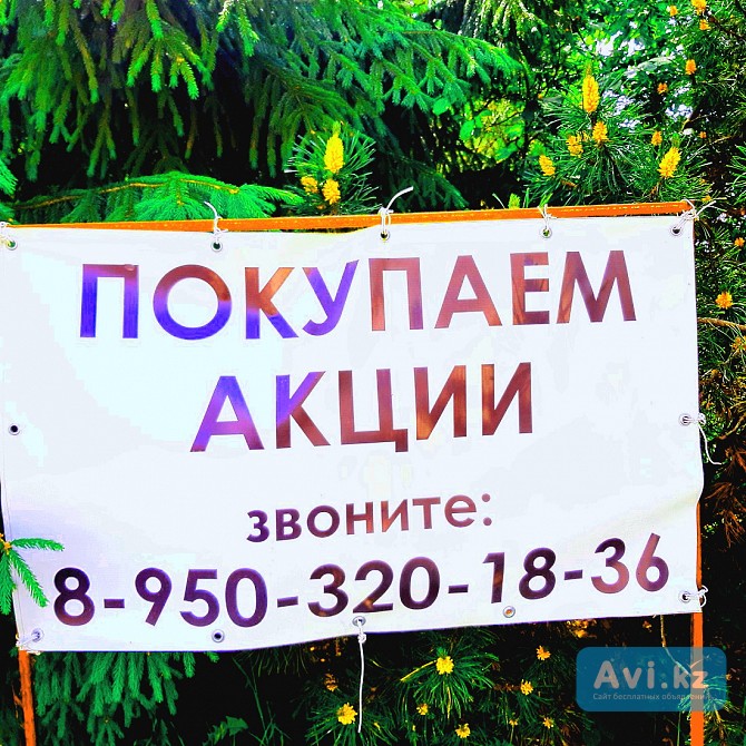 Покупаем акции норильский никель 79503201836 Алматы - изображение 1