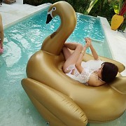 Срочно продам надувной матрас огромный лебедь для плавания Конаев (Капшагай)