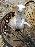 Продам котенка девочку Алматы
