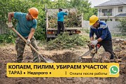 Копаем, септик.траншеи.пилим, деревья Сантехнические работы, уборка территории, недорого Тараз