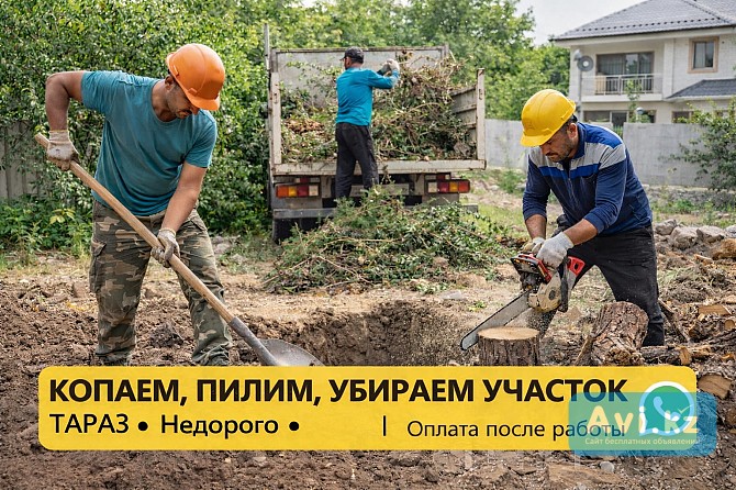 Копаем, септик.траншеи.пилим, деревья Сантехнические работы, уборка территории, недорого Тараз - изображение 1