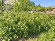 Продажа земли, 8.13 соток Павлодар