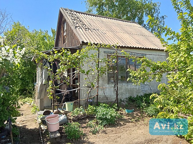 Продам землю под садоводство Павлодар - изображение 1