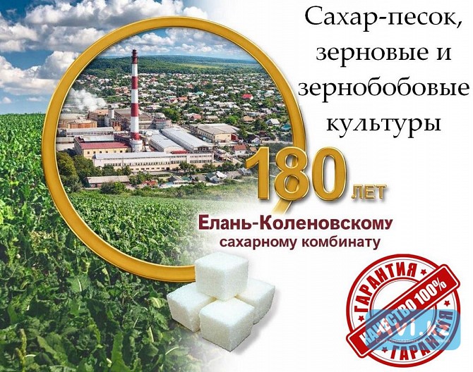 Сахар-песок, зерновые и зернобобовые культуры от Елань-коленовский СЗ Астана - изображение 1