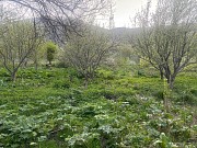Продажа земли, 12 соток Алматы