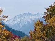 Продажа земли, 12 соток Алматы