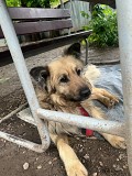 Пойдём домой Алматы