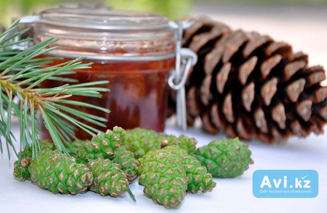 Сосновые шишки, сосновые шишки купить в алматы Алматы - изображение 1