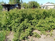 Продажа земли, 8.13 соток Павлодар