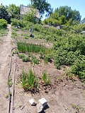 Продажа земли, 8.13 соток Павлодар