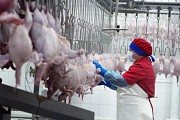 Сотрудник мясокомбината / Вахта Алматы
