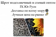 Шрот подсолнечный и соевый оптом от производителя ГК Юг Руси Астана