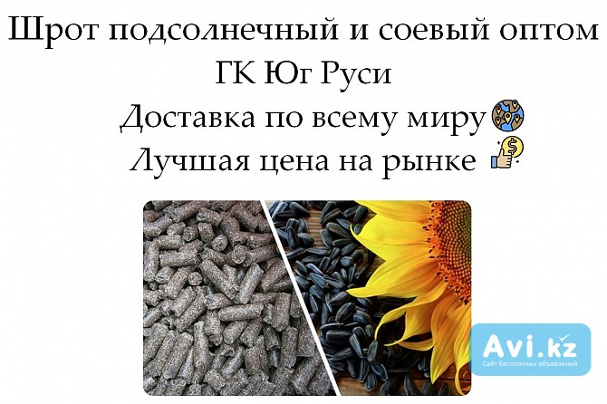 Шрот подсолнечный и соевый оптом от производителя ГК Юг Руси Астана - изображение 1