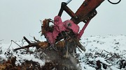 Корчеватель пней Усть-Каменогорск