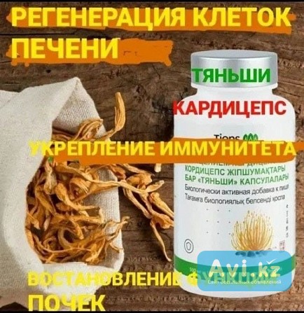 Кордицепс Тяньши Астана - изображение 1