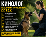 Кинолог | Коррекция поведения, воспитание и дрессировка собак Алматы