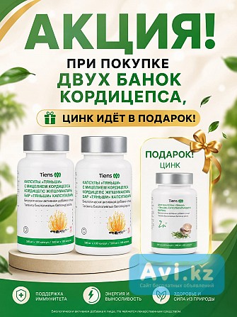 Кордицепс Тяньши Астана - изображение 1
