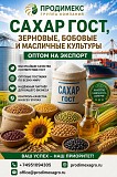 Сахар Гост, зерновые, бобовые и масличные культуры оптом в Казахстане Астана