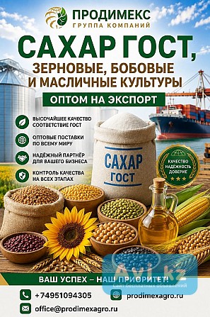 Сахар Гост, зерновые, бобовые и масличные культуры оптом в Казахстане Астана - изображение 1