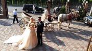 Карета. Аренда кареты Алматы