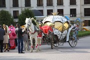 Карета. Аренда кареты Алматы