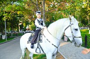 Аренда лошади(коня) для праздников и фотосессий Алматы