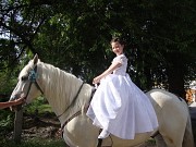 Аренда лошади(коня) для праздников и фотосессий Алматы