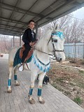 Аренда лошади(коня) для праздников и фотосессий Алматы