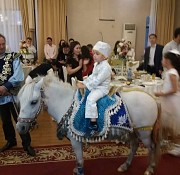 Аренда пони для детских праздников и фотосессий Алматы