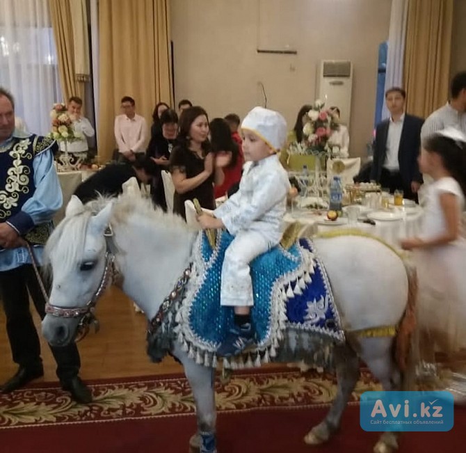 Аренда пони для детских праздников и фотосессий Алматы - изображение 1