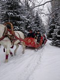 Продам большие сани-волокуши для упряжки конем Алматы