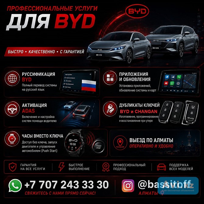 Byd профессиональные услуги в Алматы Алматы - изображение 1