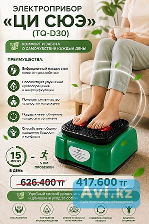Электроприбор Тяньни Ци Сюэ Астана - изображение 1
