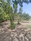 Продажа земли, 20.64 соток Алматы
