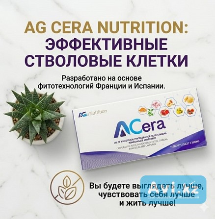Сколько Ещё ВЫ Будете Ждать Алматы - изображение 1