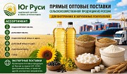 Сельхозпродукция оптом из России - масла, шрот, мука, сахар на экспорт Астана