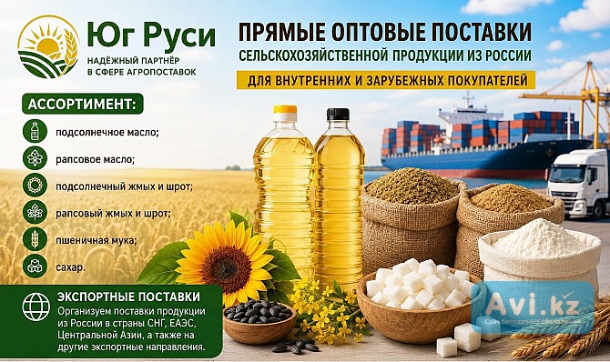 Сельхозпродукция оптом из России - масла, шрот, мука, сахар на экспорт Астана - изображение 1