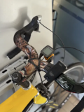 Раритет Xtrem Carbon (геометрия Giant Mcr). Колеса Spinergy. Cinelli Алматы