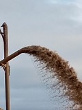 Лучшее Качество Пгс Уральск