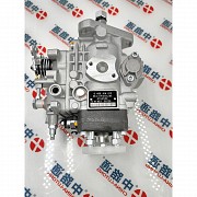 Ve Fuel Pump Np-4/11f1700lnp2336 Ve Fuel Pump Npve4/11f1800lnp2495 Алматы