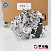 Ve Fuel Pump Ve4/12f1000l935 Ve Fuel Pump Ve4/12f1100l1094 Актобе