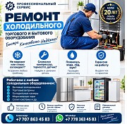 Профессиональный ремонт холодильников и холодильного оборудования в Алматы Алматы