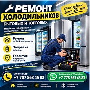 Профессиональный ремонт холодильников и холодильного оборудования в Алматы Алматы