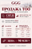 Продажа Смр 3 с Пфу на 2 млрда для госзакупа Алматы
