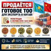 Продаётся Готовое Тоо Для Экспорта В Китай Алматы