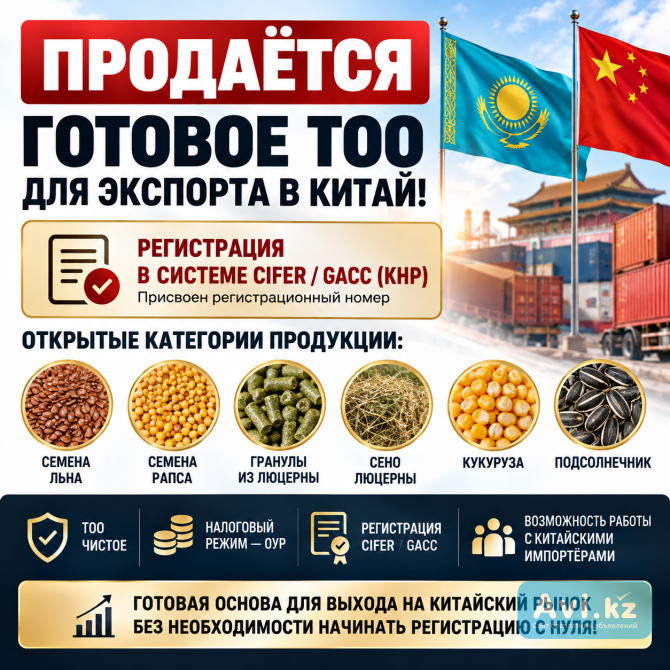 Продаётся Готовое Тоо Для Экспорта В Китай Алматы - изображение 1